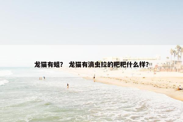 龙猫有蛆？ 龙猫有滴虫拉的粑粑什么样？