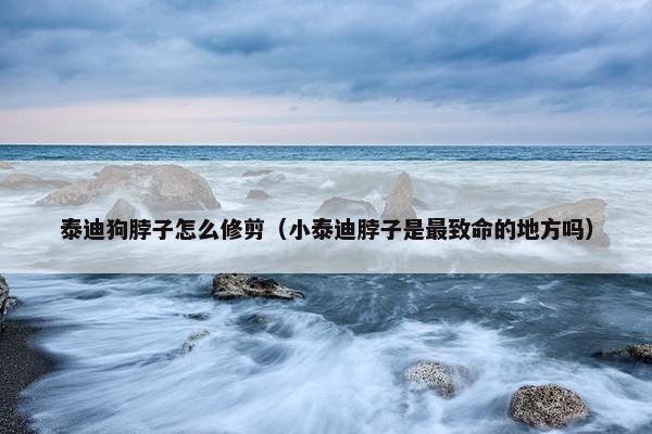 泰迪狗脖子怎么修剪（小泰迪脖子是最致命的地方吗）