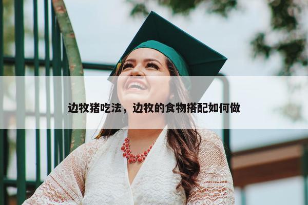 边牧猪吃法，边牧的食物搭配如何做