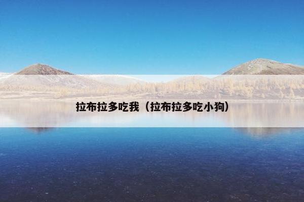 拉布拉多吃我（拉布拉多吃小狗）