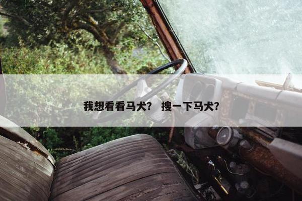 我想看看马犬？ 搜一下马犬？
