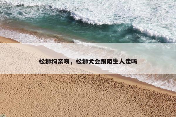 松狮狗亲吻，松狮犬会跟陌生人走吗