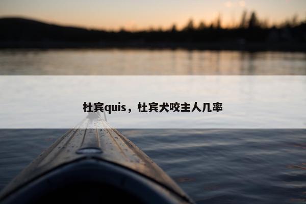 杜宾quis，杜宾犬咬主人几率