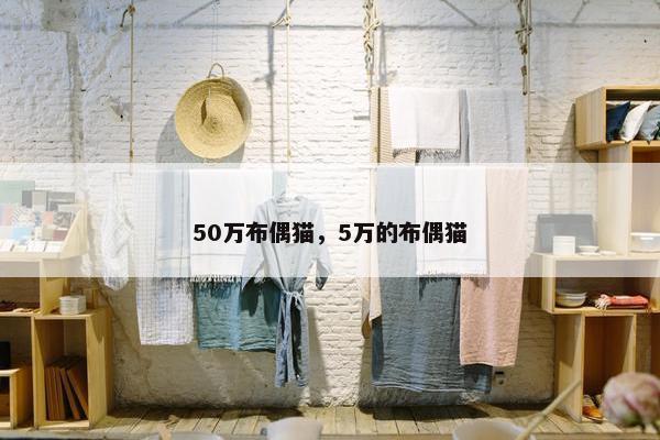 50万布偶猫，5万的布偶猫