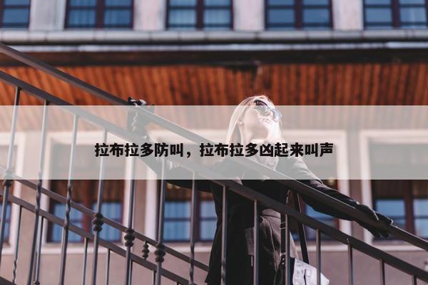 拉布拉多防叫，拉布拉多凶起来叫声