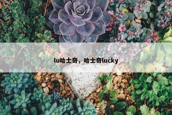 lu哈士奇，哈士奇lucky
