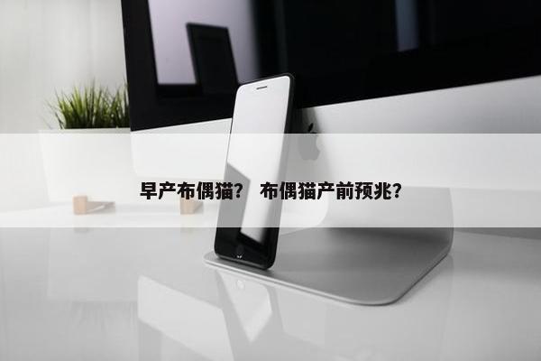 早产布偶猫？ 布偶猫产前预兆？
