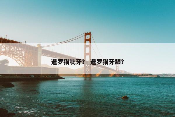 暹罗猫呲牙？ 暹罗猫牙龈？