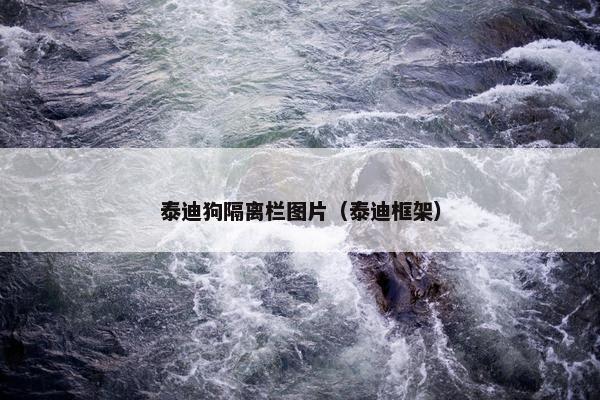 泰迪狗隔离栏图片（泰迪框架）