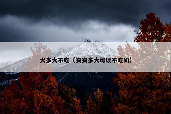 犬多大不吃（狗狗多大可以不吃奶）