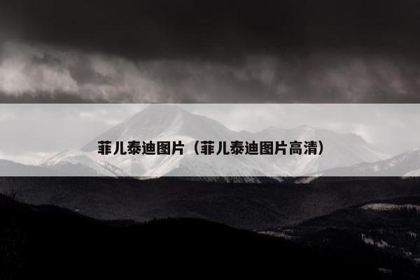 菲儿泰迪图片（菲儿泰迪图片高清）