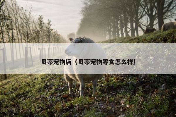 贝蒂宠物店（贝蒂宠物零食怎么样）