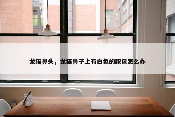 龙猫鼻头，龙猫鼻子上有白色的脓包怎么办