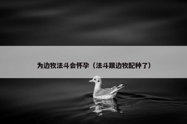 为边牧法斗会怀孕（法斗跟边牧配种了）