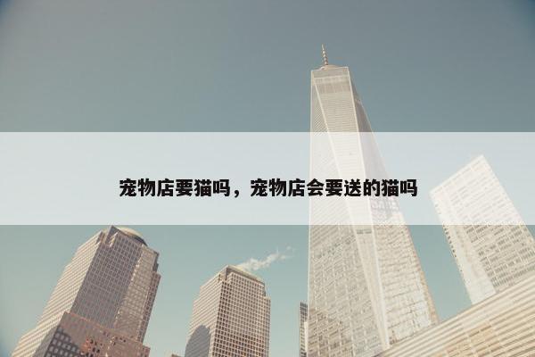 宠物店要猫吗，宠物店会要送的猫吗