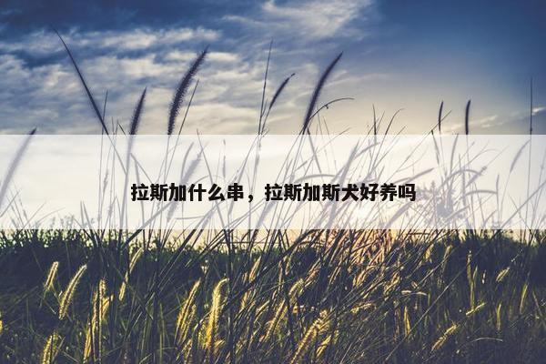 拉斯加什么串，拉斯加斯犬好养吗