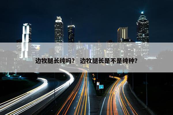 边牧腿长纯吗？ 边牧腿长是不是纯种？