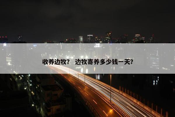 收养边牧？ 边牧寄养多少钱一天？