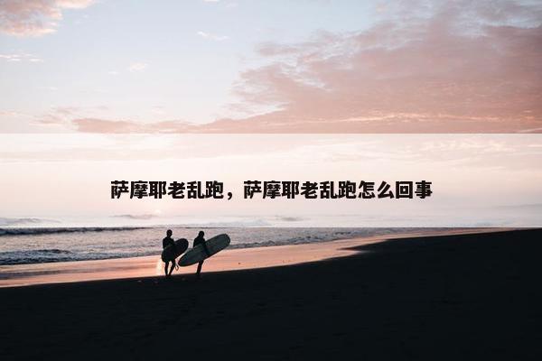 萨摩耶老乱跑，萨摩耶老乱跑怎么回事