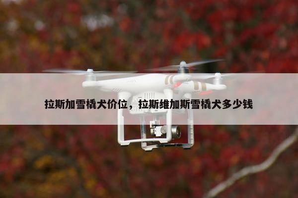 拉斯加雪橇犬价位，拉斯维加斯雪橇犬多少钱