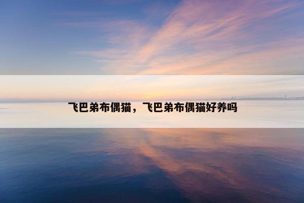 飞巴弟布偶猫，飞巴弟布偶猫好养吗