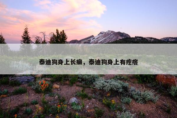 泰迪狗身上长癞，泰迪狗身上有疙瘩