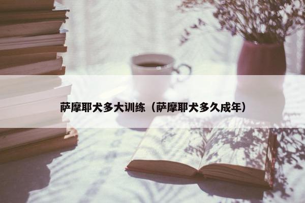 萨摩耶犬多大训练（萨摩耶犬多久成年）