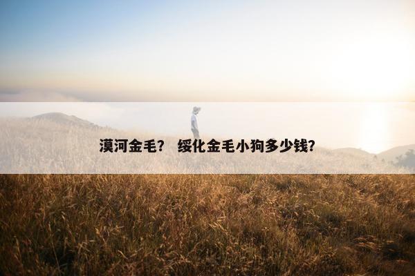 漠河金毛？ 绥化金毛小狗多少钱？