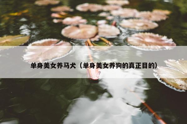 单身美女养马犬（单身美女养狗的真正目的）