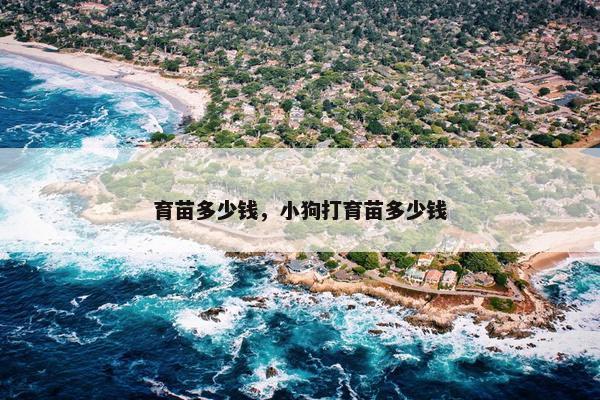 育苗多少钱，小狗打育苗多少钱