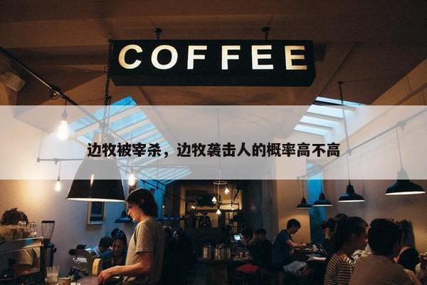 边牧被宰杀，边牧袭击人的概率高不高