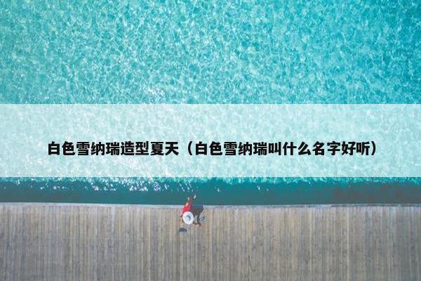 白色雪纳瑞造型夏天（白色雪纳瑞叫什么名字好听）