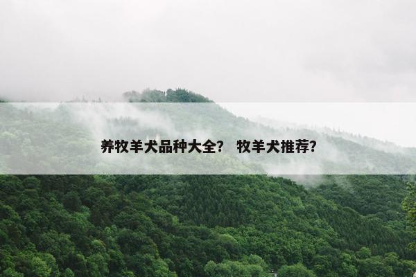 养牧羊犬品种大全？ 牧羊犬推荐？