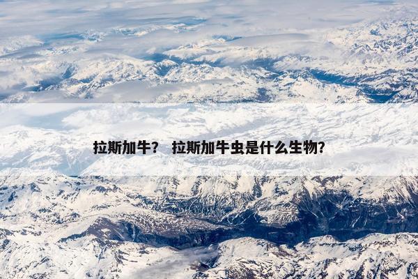拉斯加牛？ 拉斯加牛虫是什么生物？