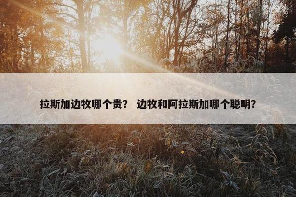 拉斯加边牧哪个贵？ 边牧和阿拉斯加哪个聪明？