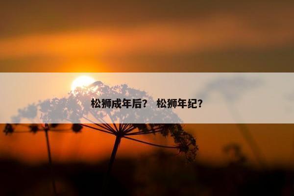 松狮成年后？ 松狮年纪？