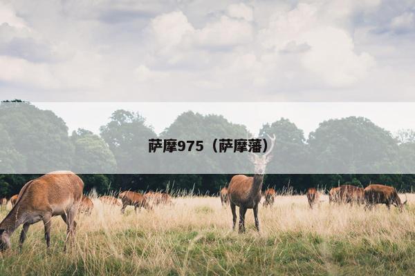 萨摩975（萨摩藩）