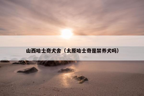 山西哈士奇犬舍（太原哈士奇是禁养犬吗）