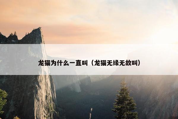 龙猫为什么一直叫（龙猫无缘无故叫）