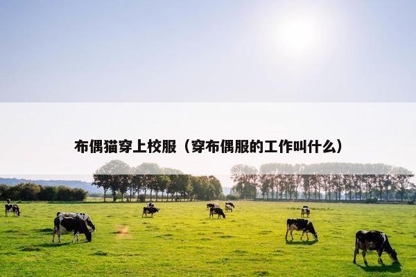 布偶猫穿上校服（穿布偶服的工作叫什么）