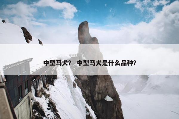 中型马犬？ 中型马犬是什么品种？
