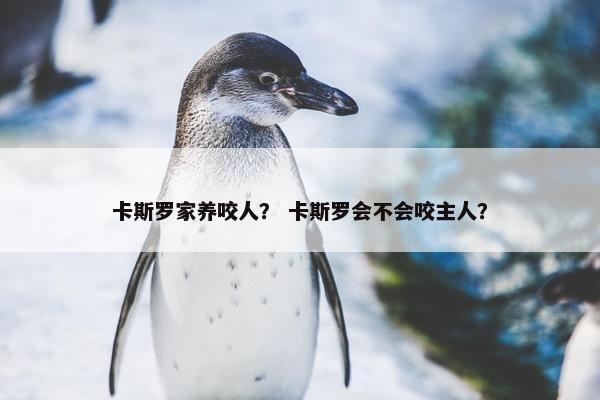 卡斯罗家养咬人？ 卡斯罗会不会咬主人？