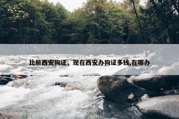比熊西安狗证，现在西安办狗证多钱,在哪办