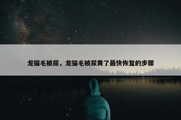 龙猫毛被尿，龙猫毛被尿黄了最快恢复的步骤