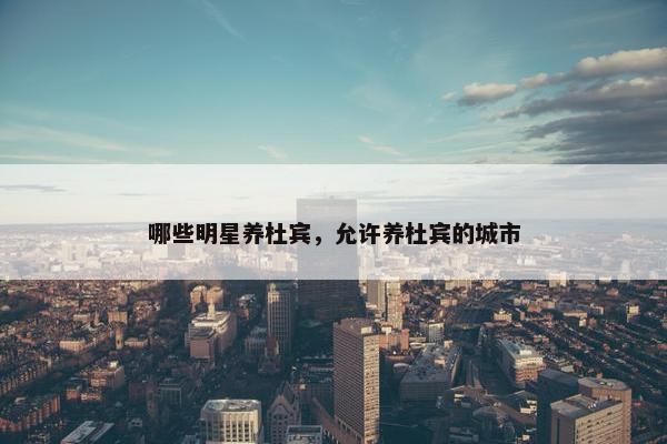 哪些明星养杜宾，允许养杜宾的城市