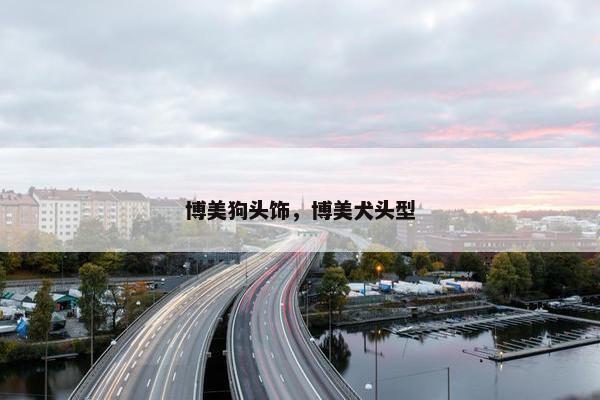 博美狗头饰，博美犬头型