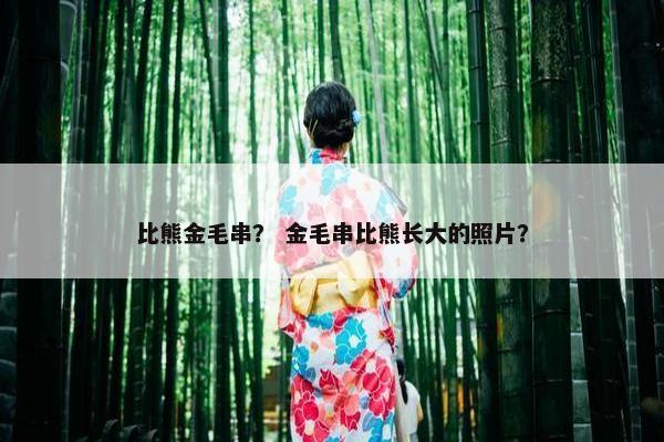 比熊金毛串？ 金毛串比熊长大的照片？