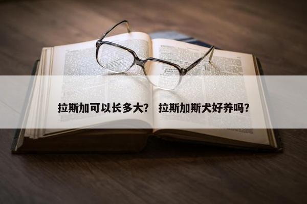 拉斯加可以长多大？ 拉斯加斯犬好养吗？