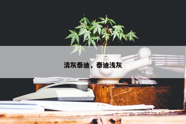 清灰泰迪，泰迪浅灰