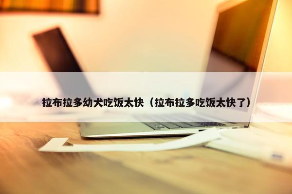 拉布拉多幼犬吃饭太快（拉布拉多吃饭太快了）